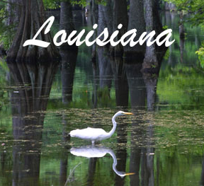Independent Ministry to Louisiana Legislature—Existed Before Capitol Ministries and Going Strong for 21 years!