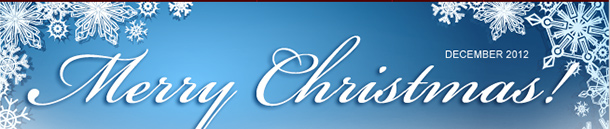 Merry Christmas 2012